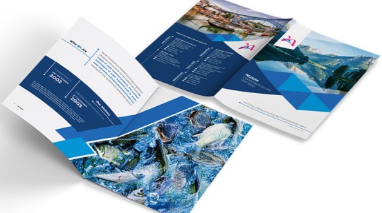 Dịch vụ thiết kế hồ sơ năng lực của A WEBSITE